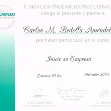 Pro-empleo-2003